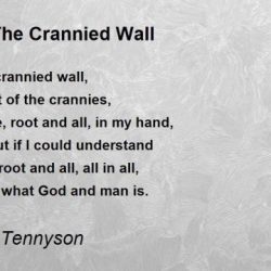 Tennyson flower dream wall jeremy clarkson alfred quote pluck but wendy williams quotes crannies hold state re even either narrow