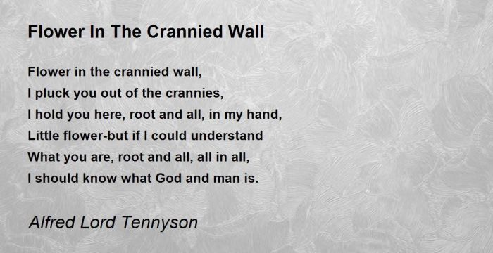 Tennyson flower dream wall jeremy clarkson alfred quote pluck but wendy williams quotes crannies hold state re even either narrow