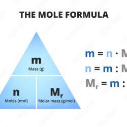 Relative mass and the mole pogil