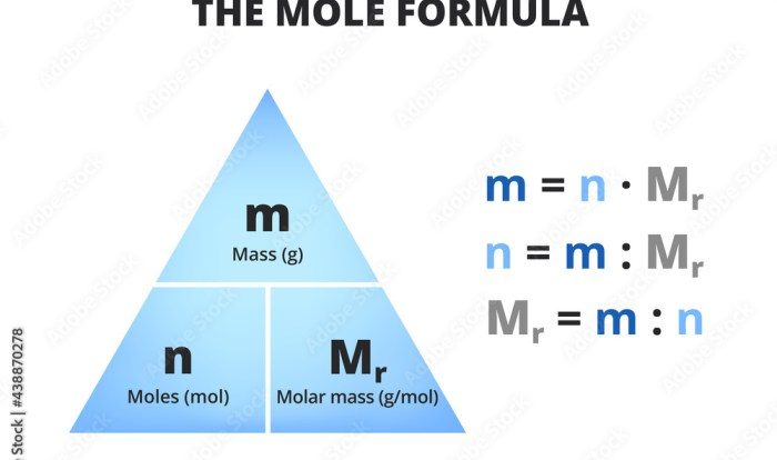 Relative mass and the mole pogil