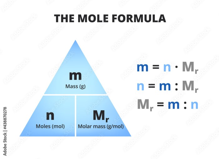 Relative mass and the mole pogil