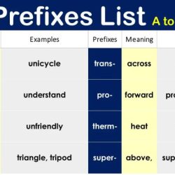 Words with the prefix meter